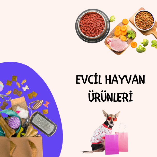 Evcil Hayvan Aksesuarları